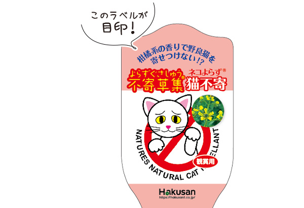猫不寄ねこよらず