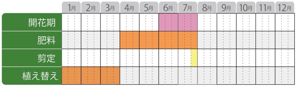 ハイドランジアの栽培カレンダー