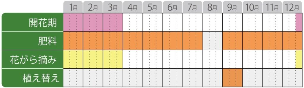 プリムラオブコニカの栽培カレンダー