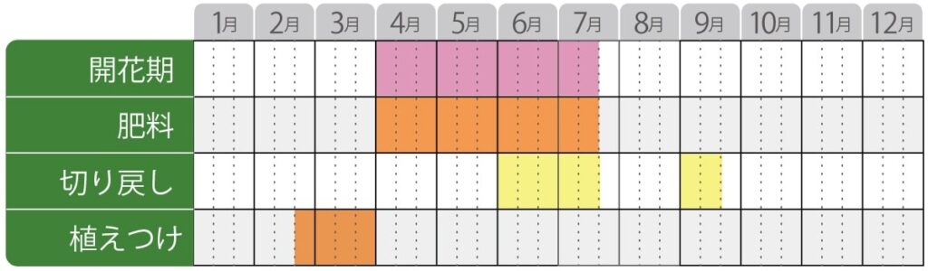 ペラルゴニウム栽培カレンダー