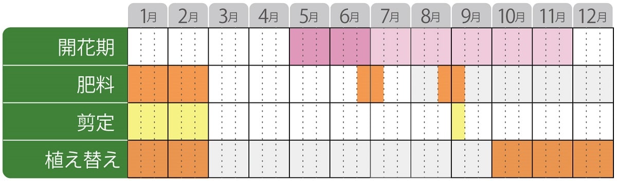 フラワーカーペットローズ栽培カレンダー