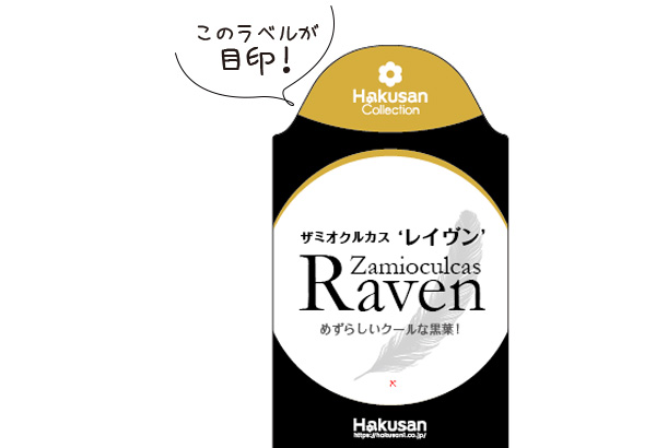 ザミオクルカスレイヴンラベル