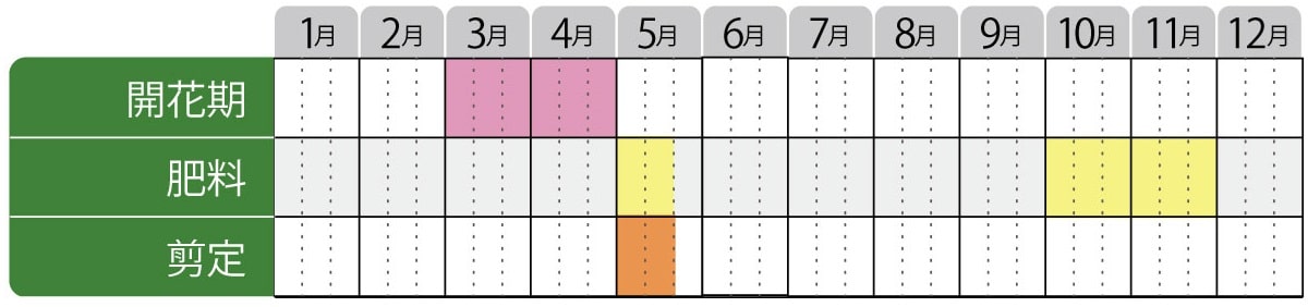 沈丁花(ジンチョウゲ)パフュームプリンセスの栽培カレンダー