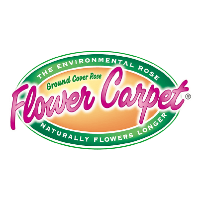 Flower Carpet