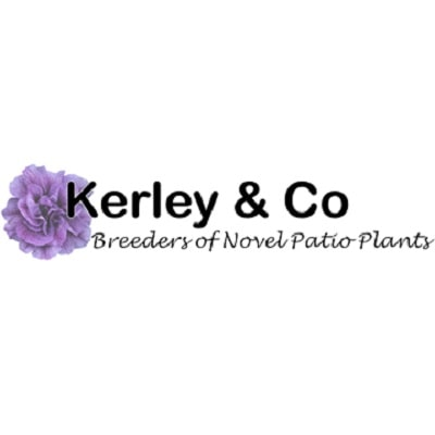 Kerley & Co