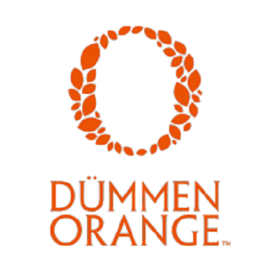 DUMMEN ORANGE