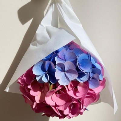 紫陽花のおまじない